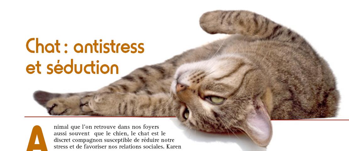 chat antistress coeurdartichien