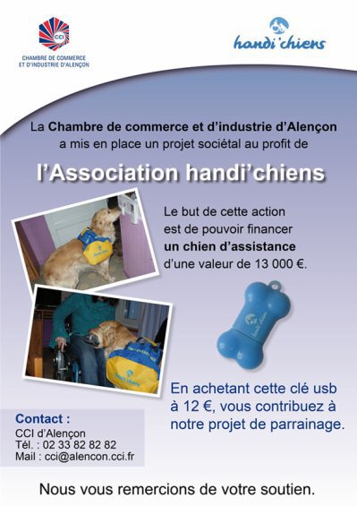 handi chien aurelie vinceneux cazoo