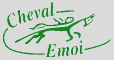 association cheval emoi