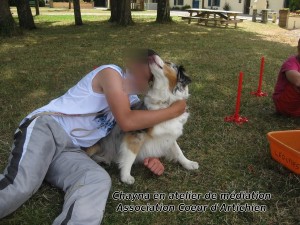 coeurdartichien mediation animale nantes CEF