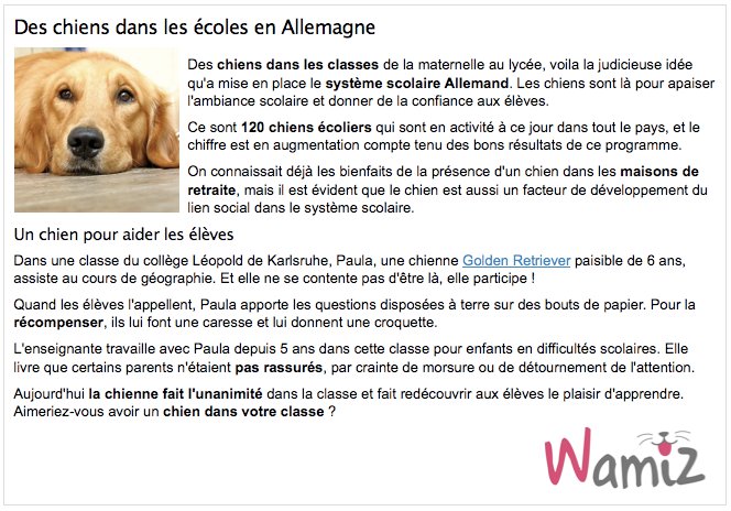 mediation animale nantes coeur d'artichien chien-ecole-allemagne