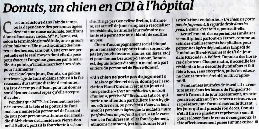 Chien-hopital2