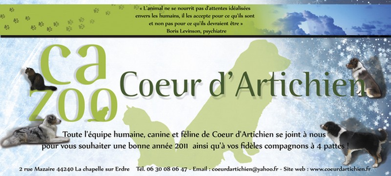 coeur d'artichien cazoo mediation animale nantes carte de voeux 2011