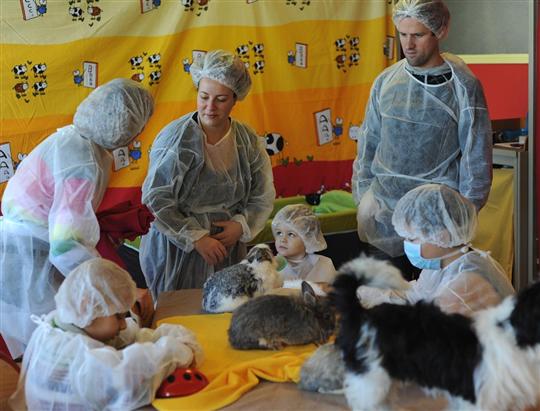 Coeurdartichien_Zootherapie Coeurdartichien_Zootherapie