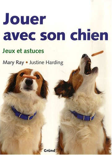 mediation animale jouer avec son chien 