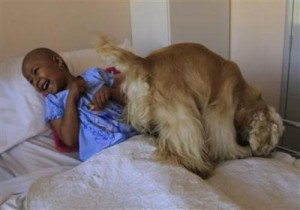 chien redonne le sourire a un enfant malade