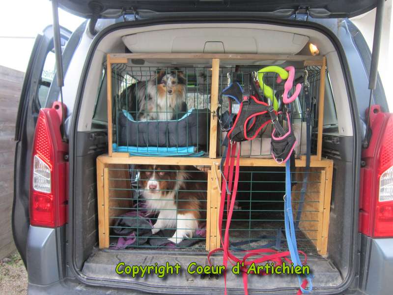 Protection coffre de voiture pour chien - Monde du Chien