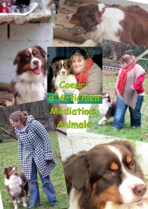 week-end coeurdartichien mediation animale