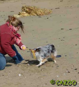 chien mediateur nantes