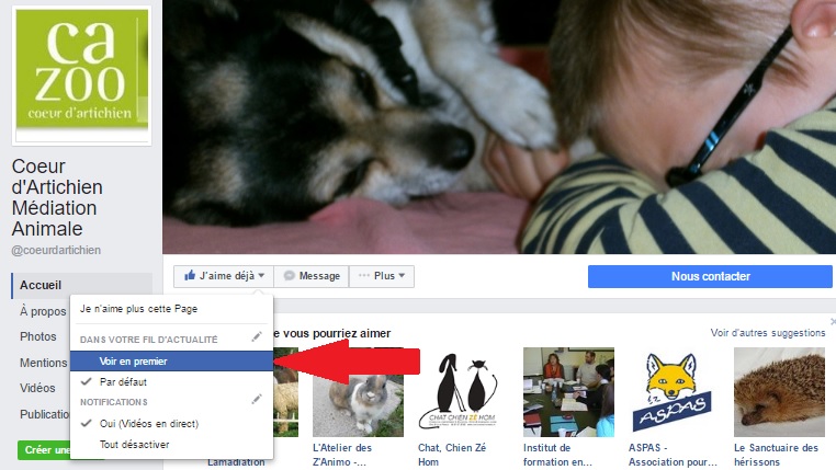 tuto page facebook coeur d'artichien