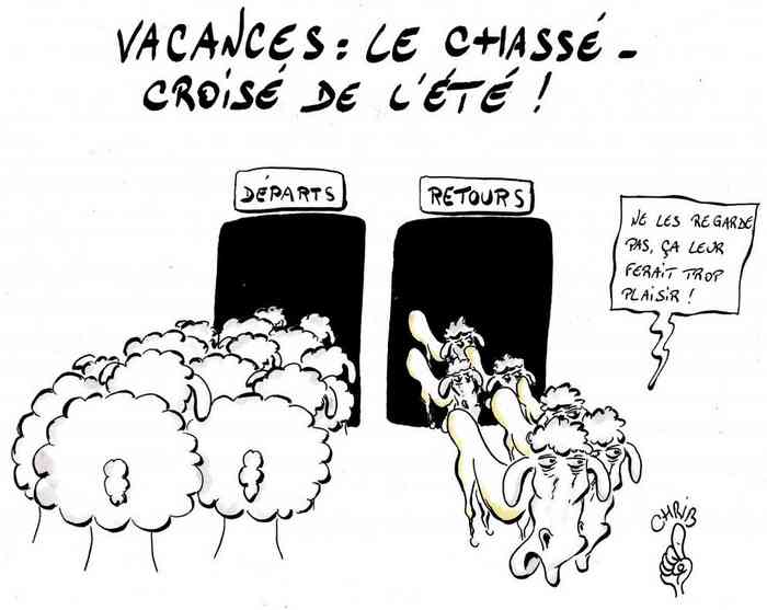 chasse croise intervenante en médiation animale